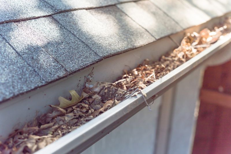 Gutter Covers with Leaf Debris