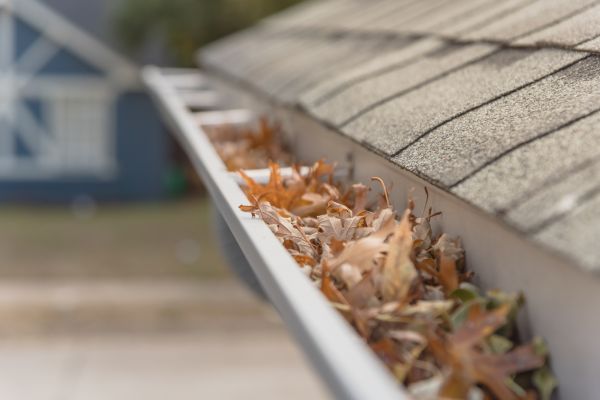 Leaf Barrier Installation in Ellijay